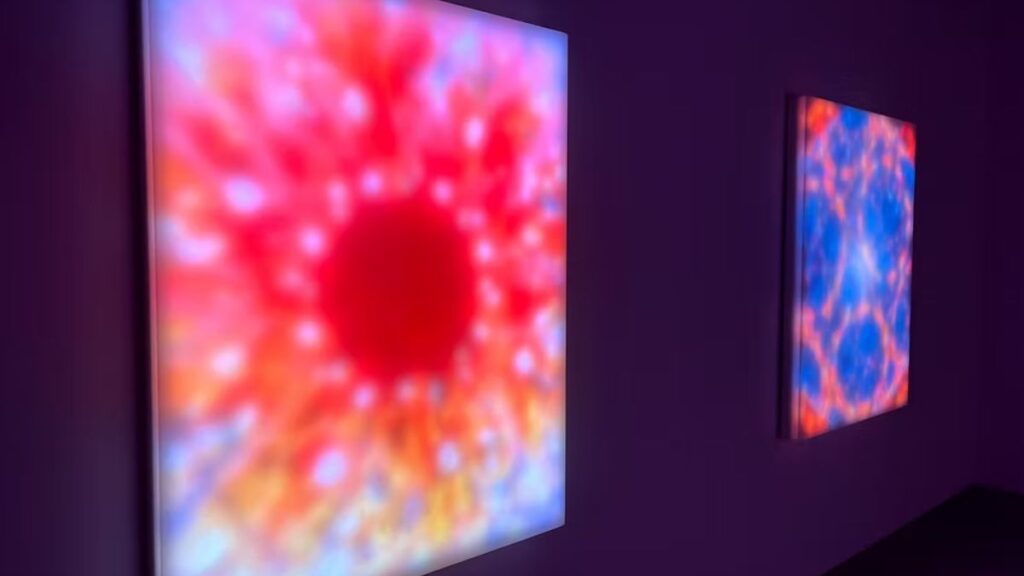 Unveiling Sol Xochitl: The Rising Star in Contemporary Art