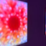 Unveiling Sol Xochitl: The Rising Star in Contemporary Art