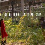 Inside Viltnemnda: How Decisions Are Made for Wildlife Protection