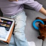 How Mastiflix is Redefining Pet Entertainment in the Digital Age
