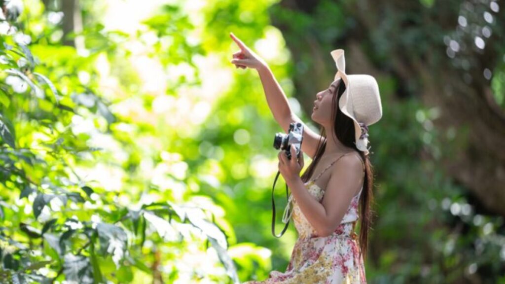 Sustainable Tourism in Tsunaihaiya: Protecting Paradise