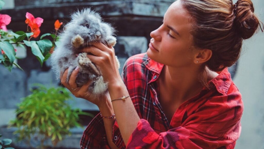 Why Pet5ardas com is a Must-Visit for Every Animal Lover