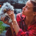 Why Pet5ardas com is a Must-Visit for Every Animal Lover