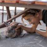 Kleptotoxicity in Nature: When Animals Borrow More Than They Bargain For