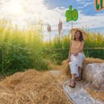 From Farm to Table: The Journey of Dampfreis and Its Environmental Impact