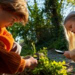 Dik’s in Nature: The Role They Play in Ecosystems