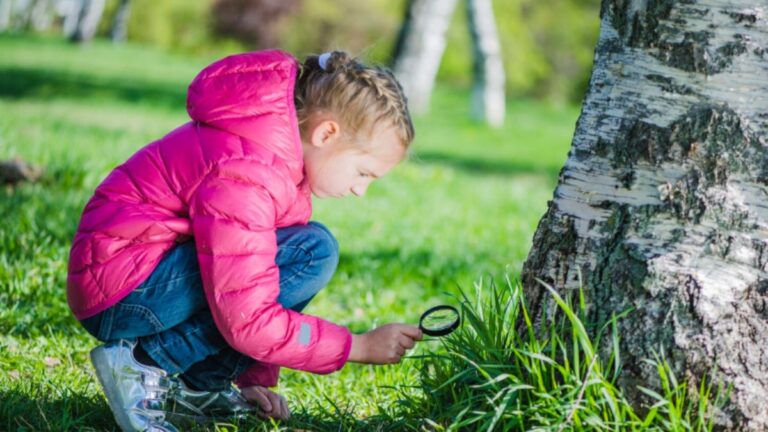 Munchkin Caterpillar